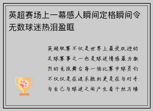 英超赛场上一幕感人瞬间定格瞬间令无数球迷热泪盈眶